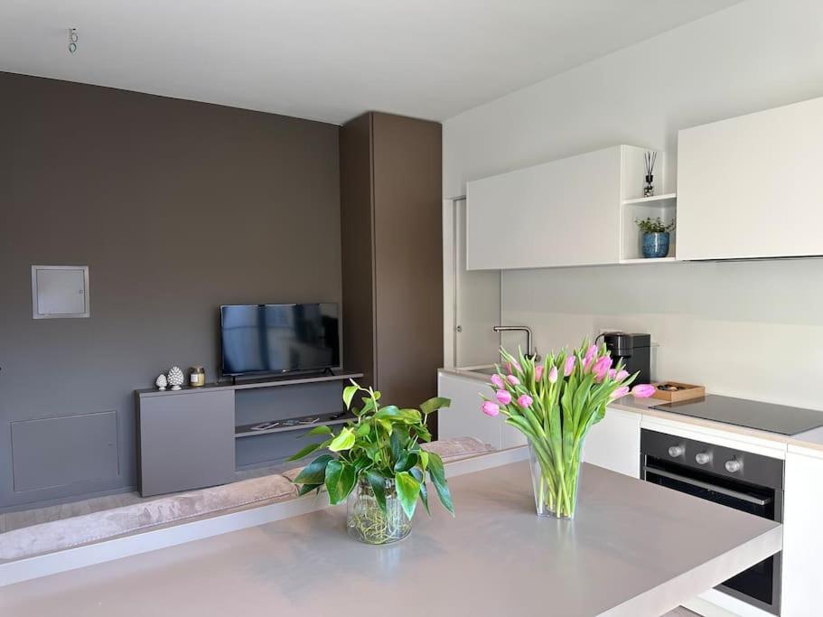 Riva 17 Apartment Lugano Bagian luar foto