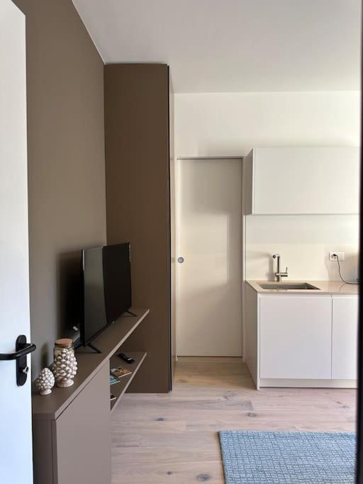 Riva 17 Apartment Lugano Bagian luar foto